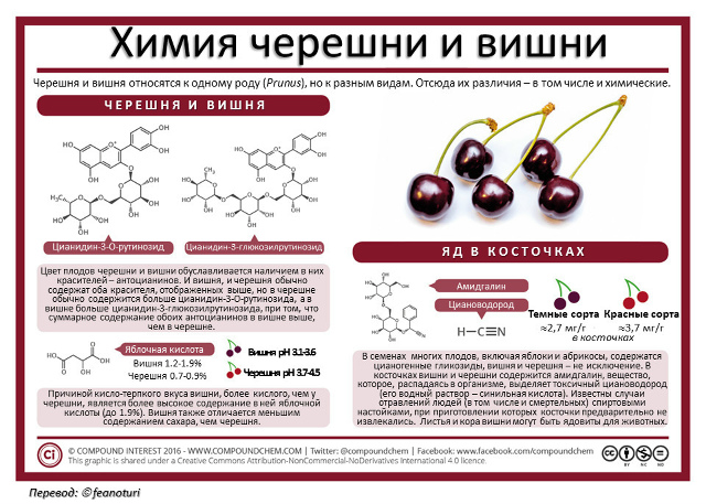 В еде - одна химия! Ну и ещё немного физики и биологии :)
...