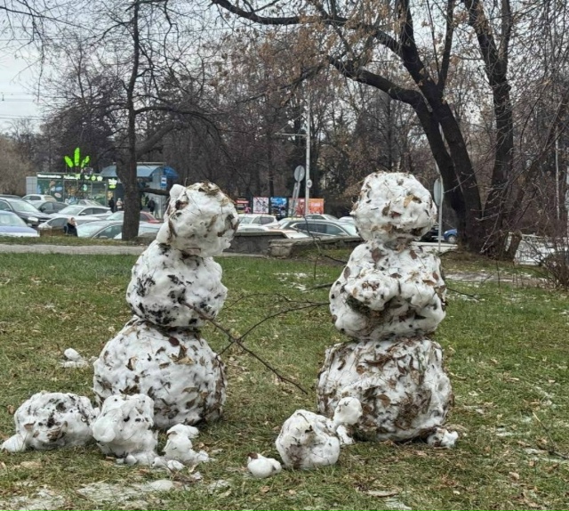 В Екатеринбурге уже заметили первых в этом сезоне снег...