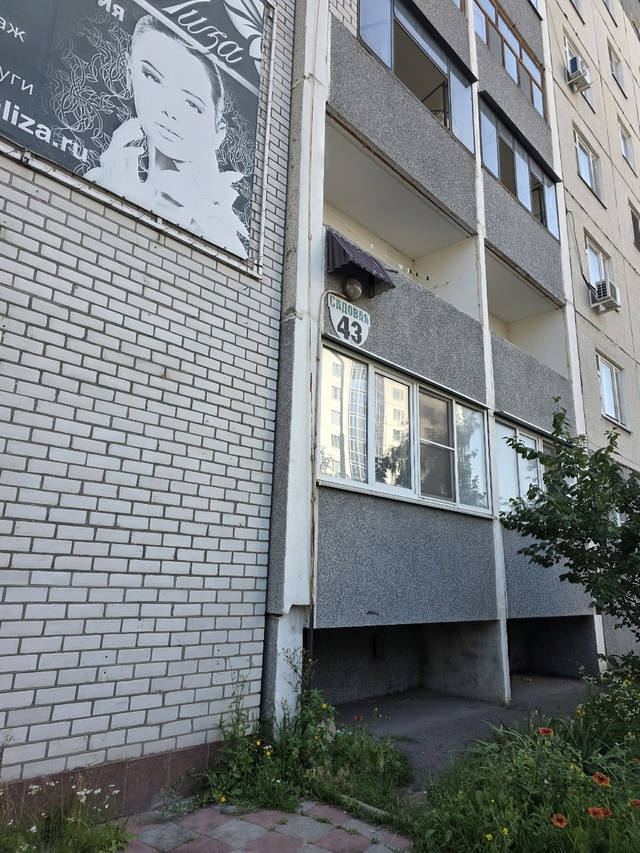 Возле гаражей военные оставили котят. Там ходят собаки...