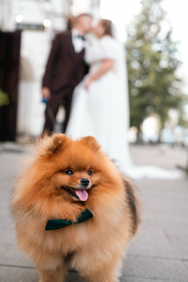 Решила тоже поделиться фотографиями с нашей свадьбы 16....