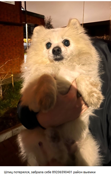 Пост добра. Расспростарните, пожалуйста.