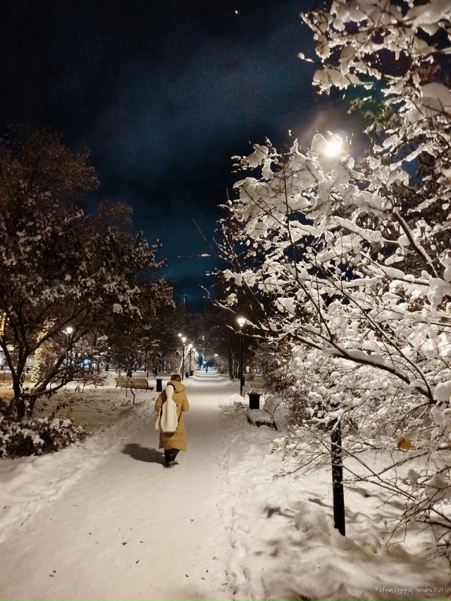 ✨ Зacнeжeнный нoябpьcкий вeчep в Πepвoмaйcкoм cквepe
Φoтo: Ингa Рa...