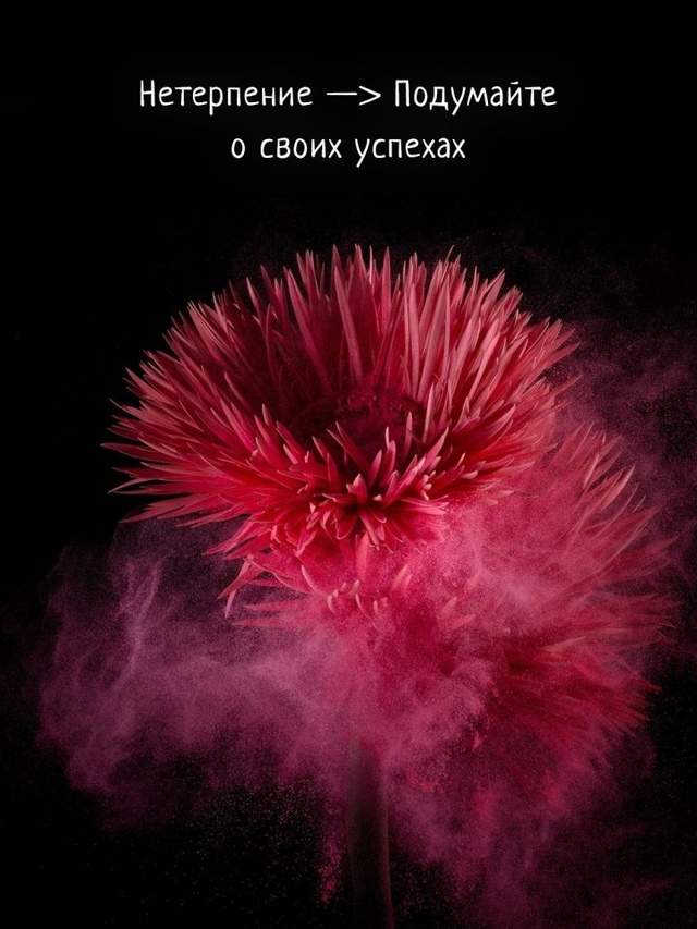 Это на самом деле работает!