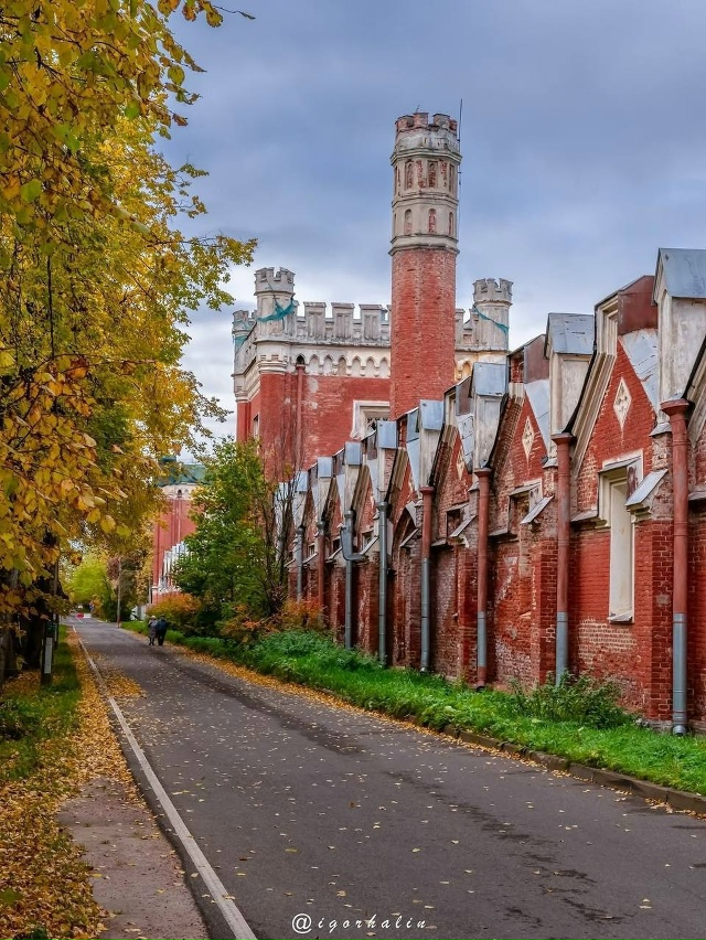 Продолжаем любоваться Дворцовыми конюшнями в Петерго?...