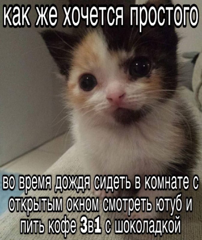 Утренняя подборочка