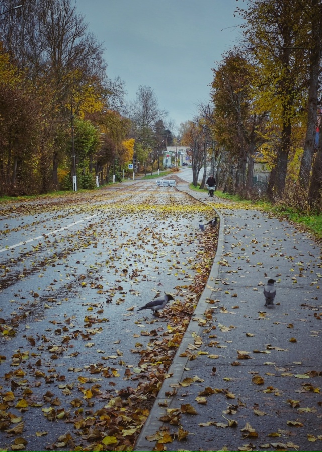 Осенние зарисовки