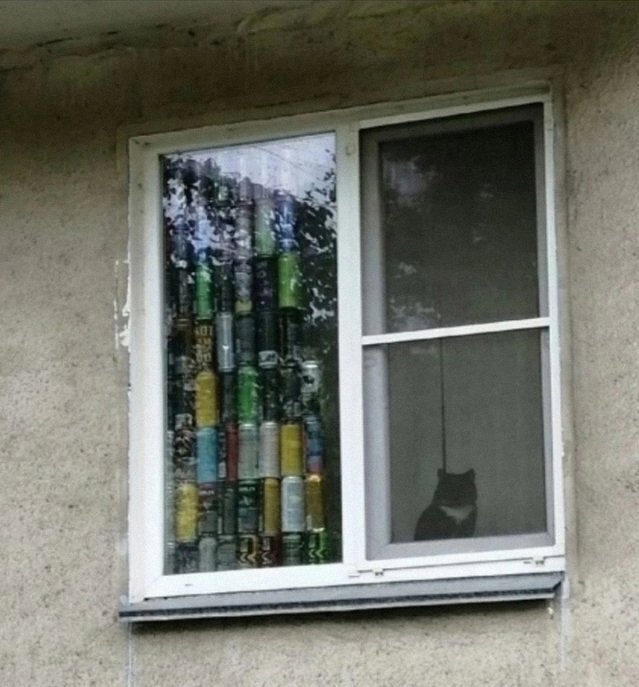А кот то очень энергичный по ходу😅
