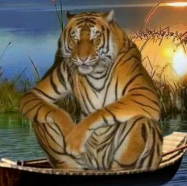 Меня не провести