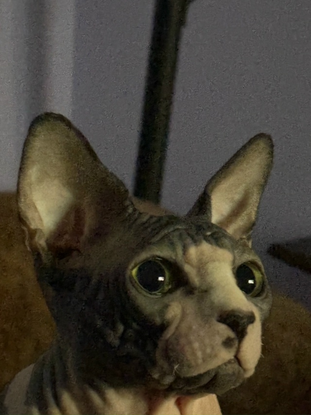 Матюша🦍❤️