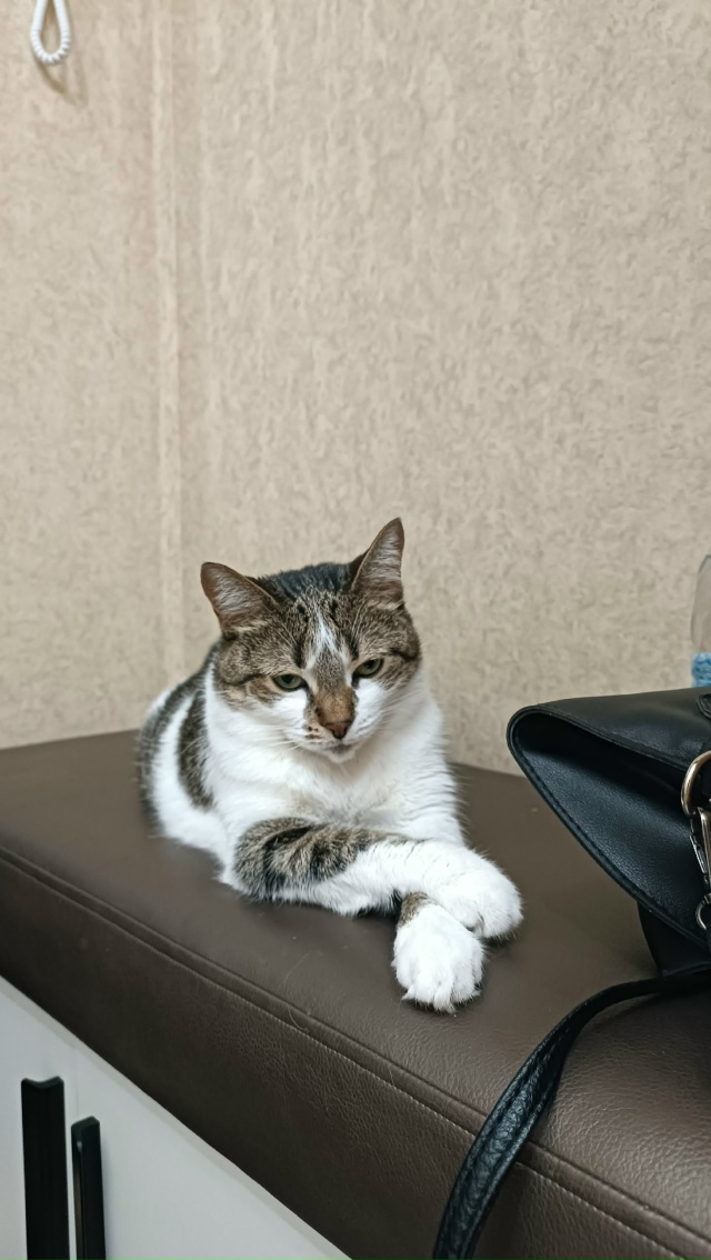 Консьержка в прихожей 💅🏻
#ЛарисаВячеславовна