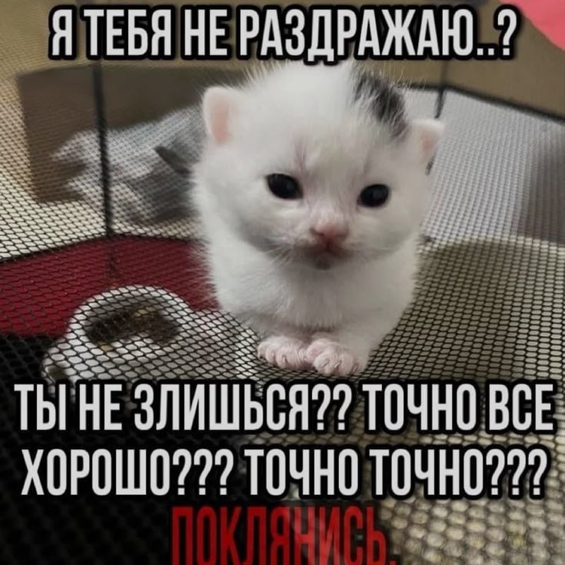 Ночная подборочка
Спать, режим