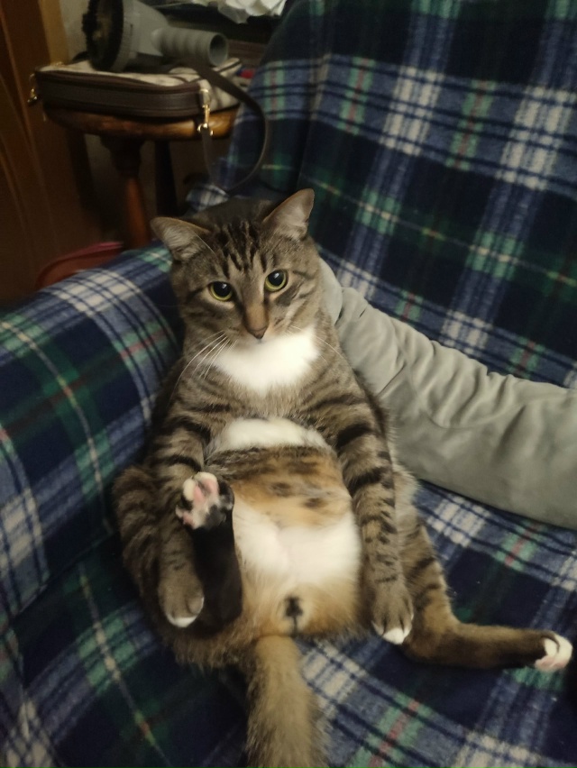 #Мотя когда пожрал две порции