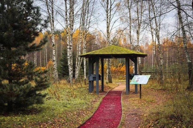 📷 Осенняя прогулка по живописному Лосиному острову.