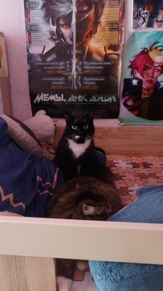 шпендель застрял...