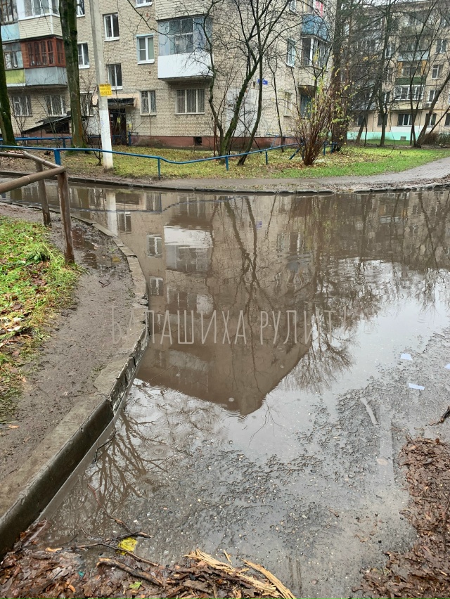 Крик души! Вечная лужа на Фучика между домами 4/3-4/4 🤦‍??...