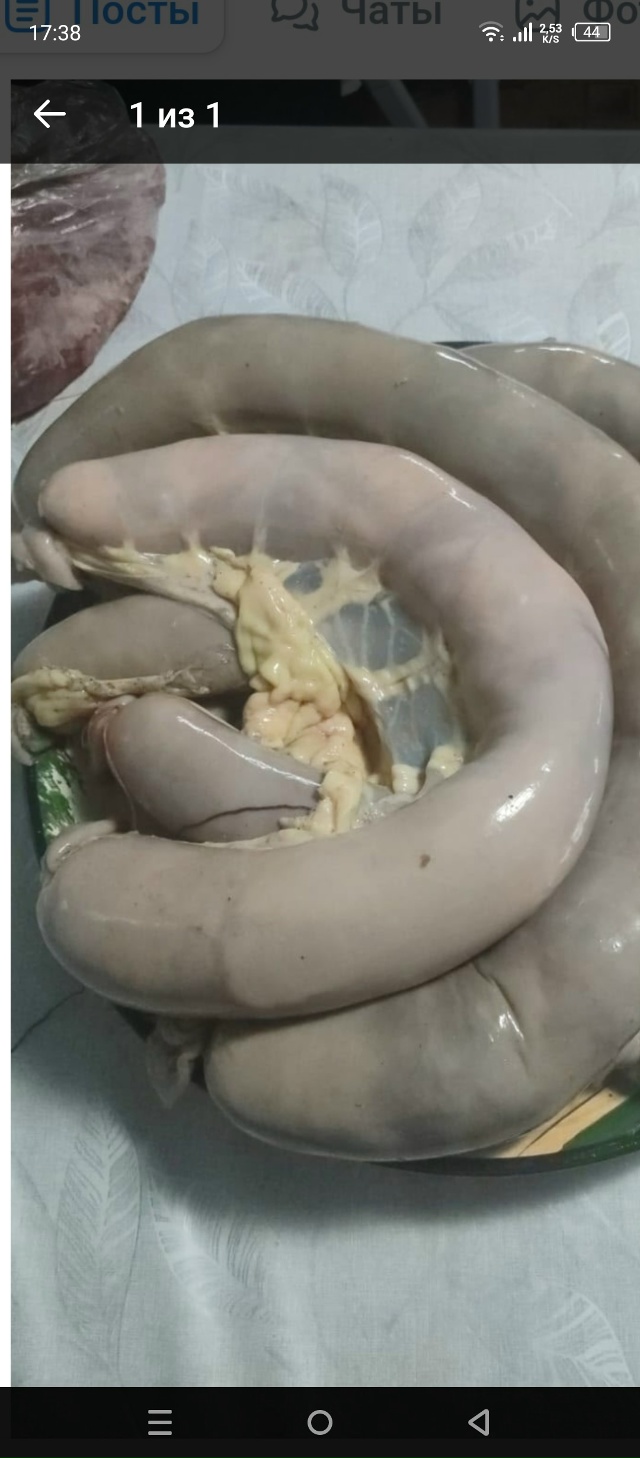 Куплю срочно казы (конина) , кто продаёт или может кто з...