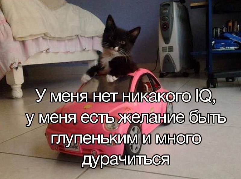 Утренняя подборочка