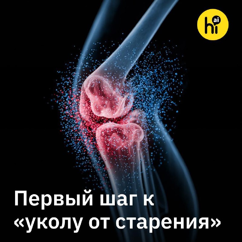 💉 Укол против старения: ученые научились заново выращивать хрящ в колене
Исследователи из Медицинск