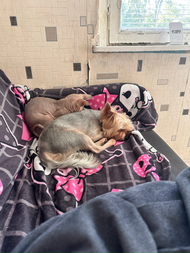 Моя лыси попи Тамара!