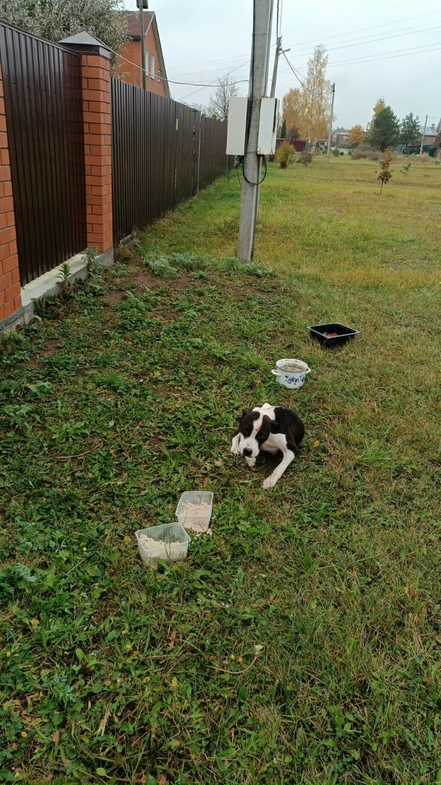 Помогите пожалуйста найти старый дом или новый для дев...