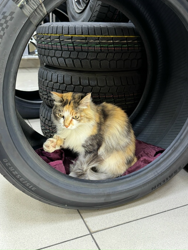 Лучший сотрудник в магазине?