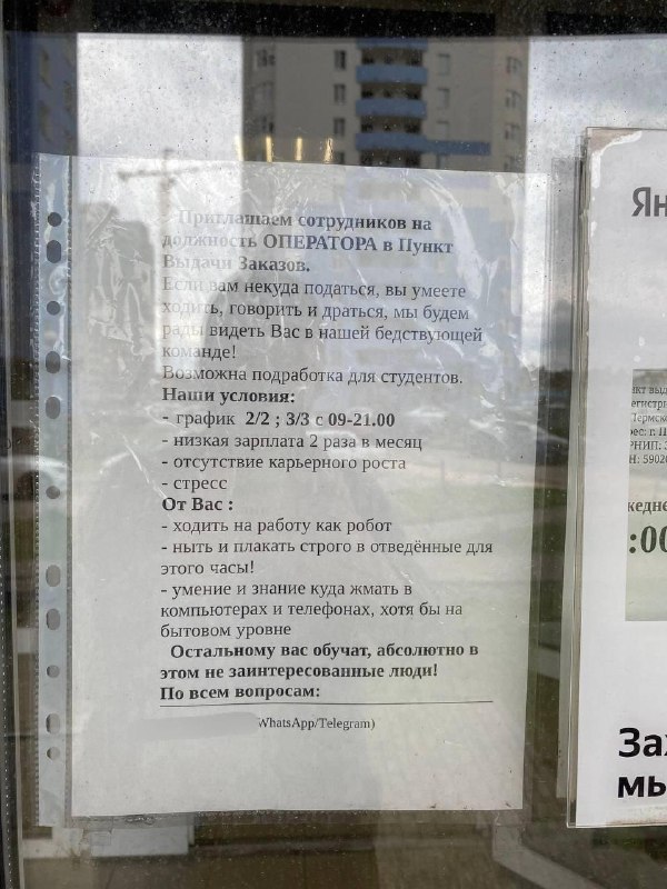 В пункт выдачи ищут того, кто умеет ходить, говорить и драться. Зарплата — низкая, карьерного роста