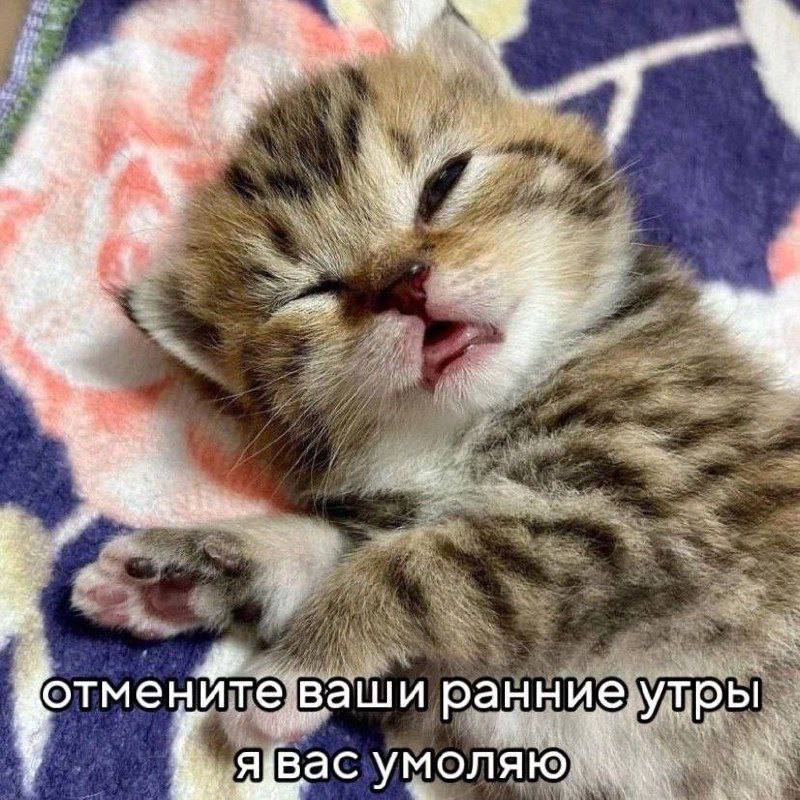 Утренняя подборочка
