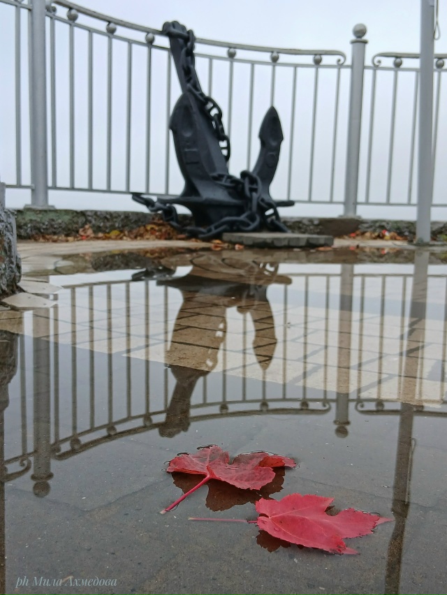 Туманы октября - это напоминание о том,
что все меняетс?...