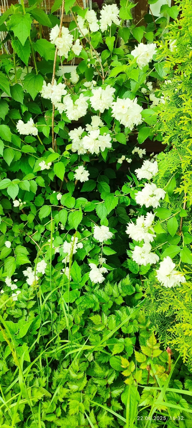 Частичка лета =) как прошло, успели отдохнуть и напитат?...