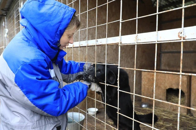 ? Сотрудники Курской АЭС привезли в приют для животны...