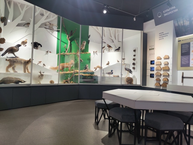 Экспозиция «О ПИКе Ч», созданная Екатериной Мирфасоло?...