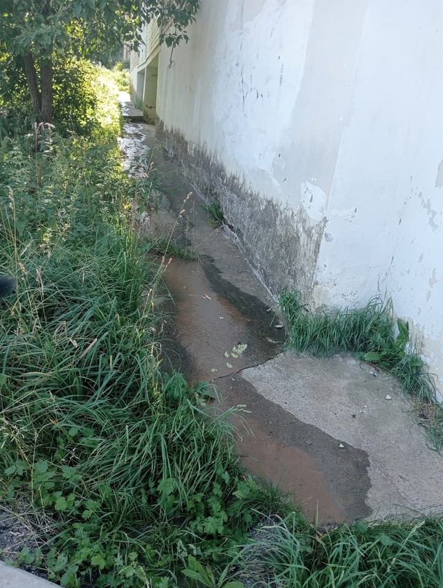 Возле дома Носкова, 2 уже который день бежит канализаци...