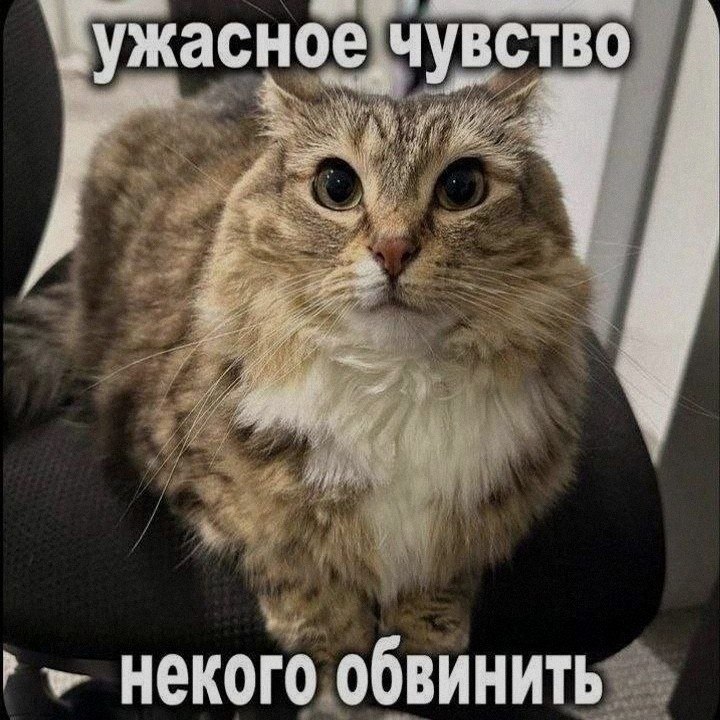 Ночная подборочка
Выходные, не спим