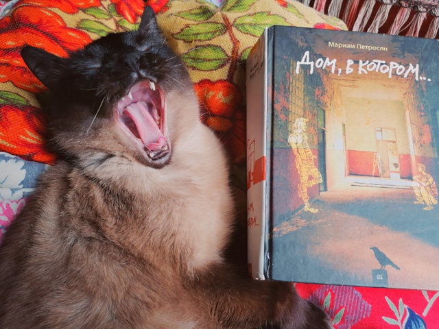 Это Санёк. Кот, которого надо заслужить 😎
Его путь от 0...