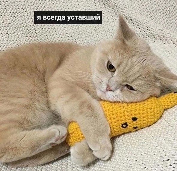 Помогите😅