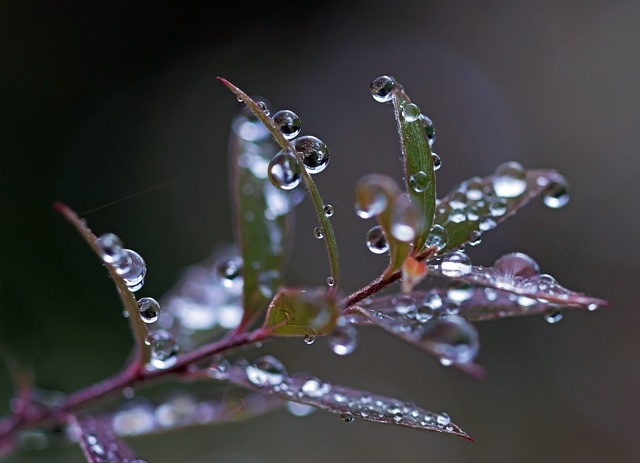 В эти дни стоит унылая, пасмурная погода, небо