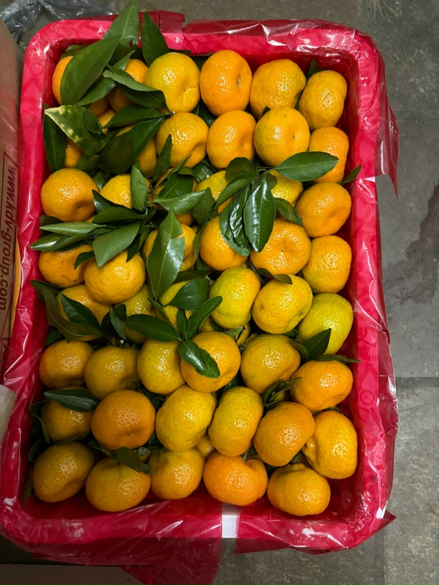 В магазине Горец свежее поступление Казы, утки Халяль, ...