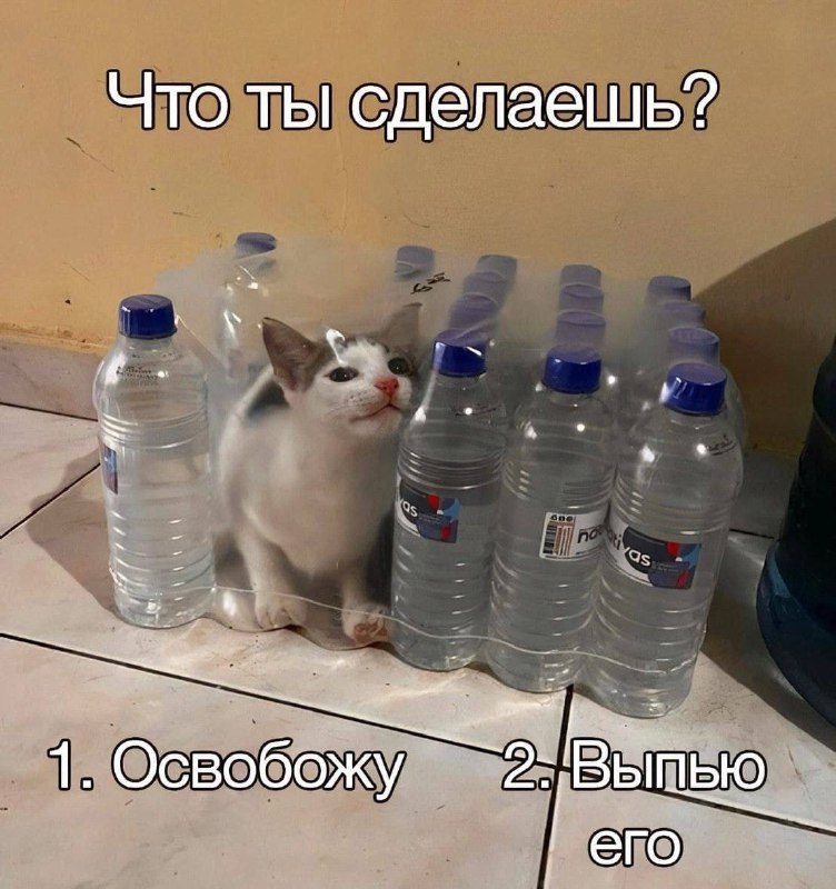 Утренняя подборочка