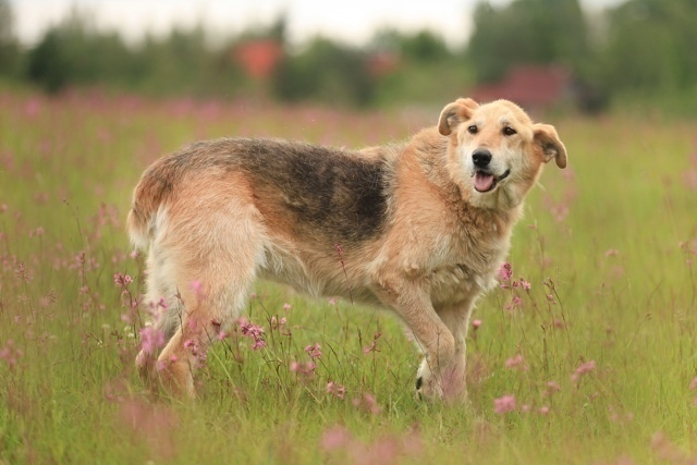 Санкт-Петербург и Ленинградская область
Моня: Десять л...