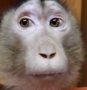 Одержал верх и полностью разгромил