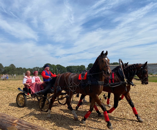 ? Тройка Хорошевского коневодческого комплекса АО 