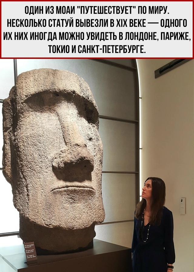 Поделись с тем, кто не знает об этом
Пересылайте посты ...