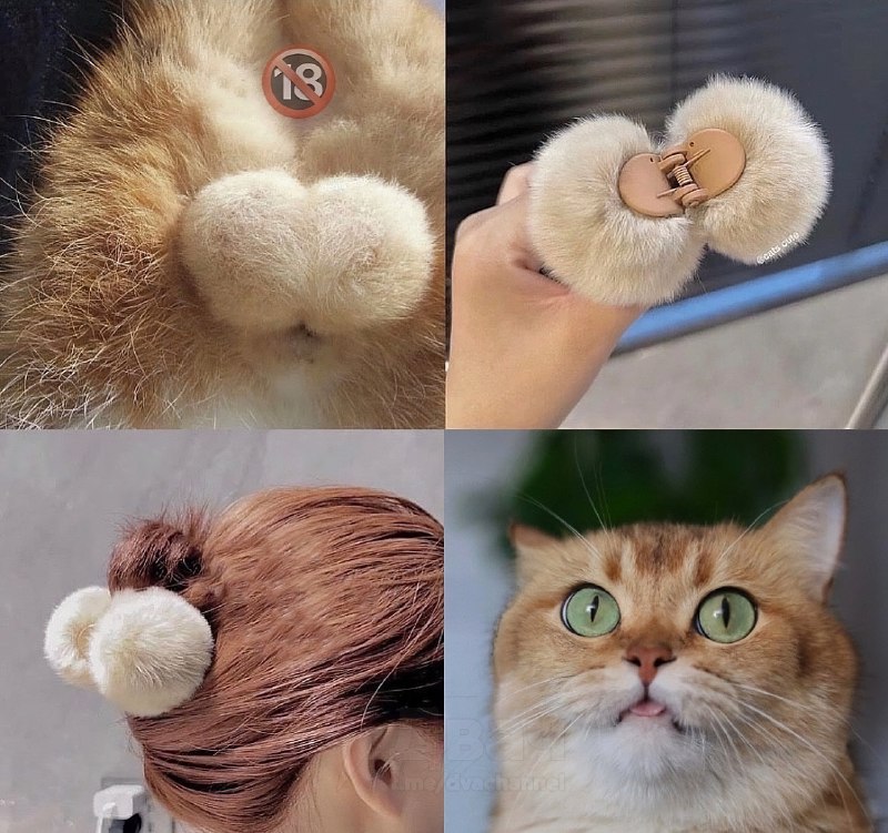 В России начали продавать заколки для волос в виде кошачьих орешков
Цена имбы — 300 рублей.