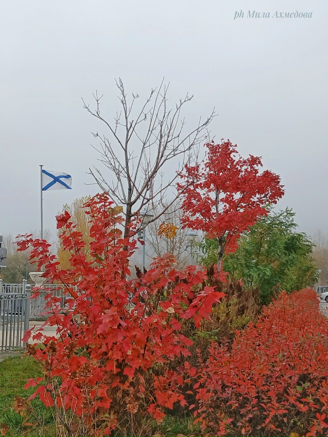 Туманы октября - это напоминание о том,
что все меняетс?...