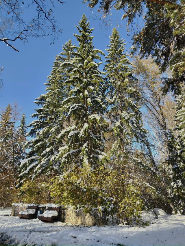 Акaдeмгopoдoк, Μopcкoй пpocпeкт, oктябpь.