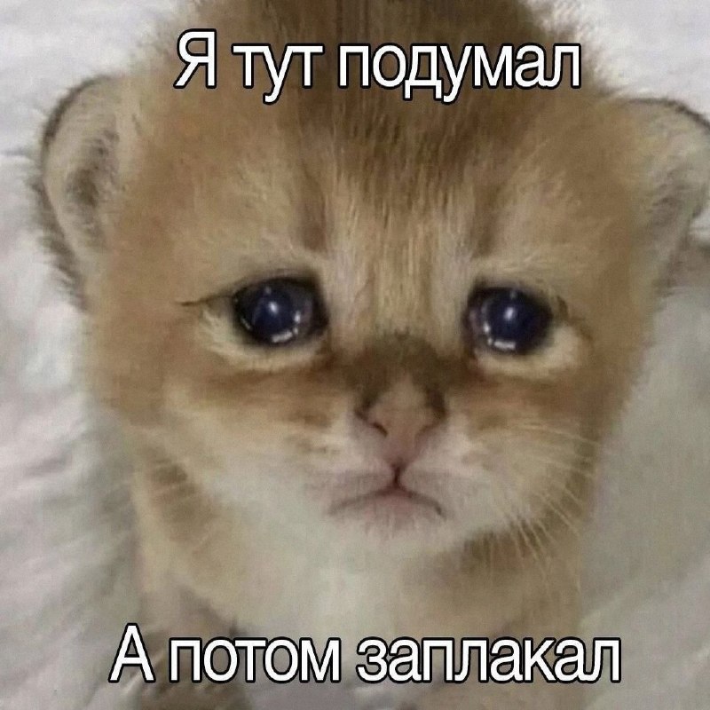 Утренняя подборочка