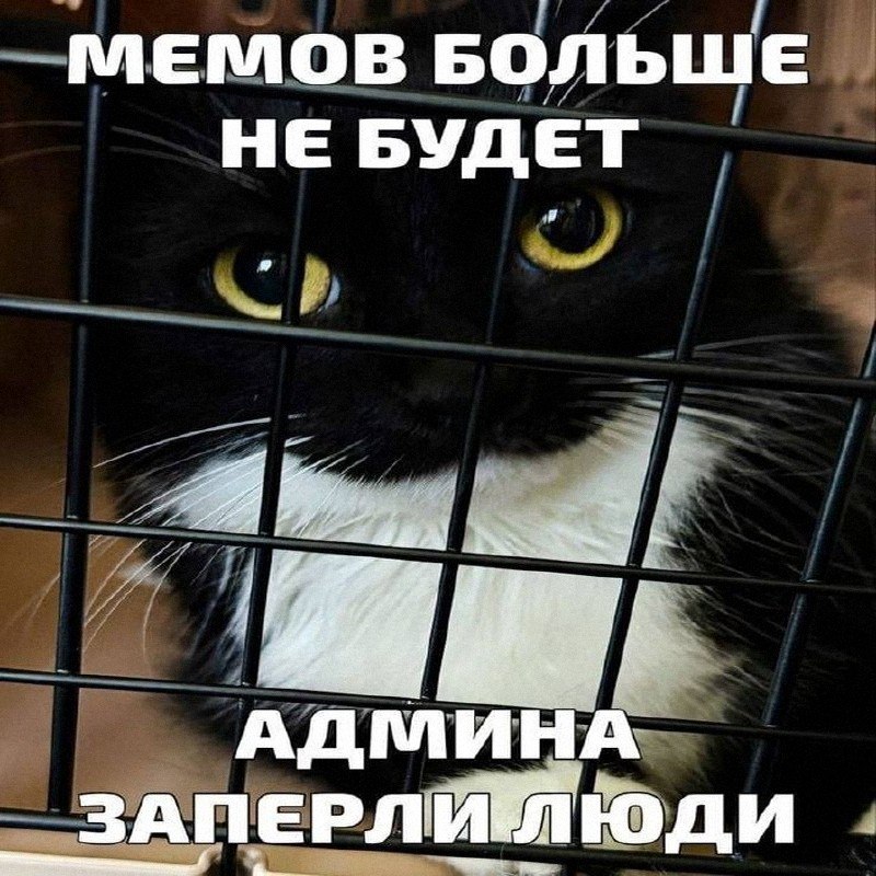 Утренняя подборочка