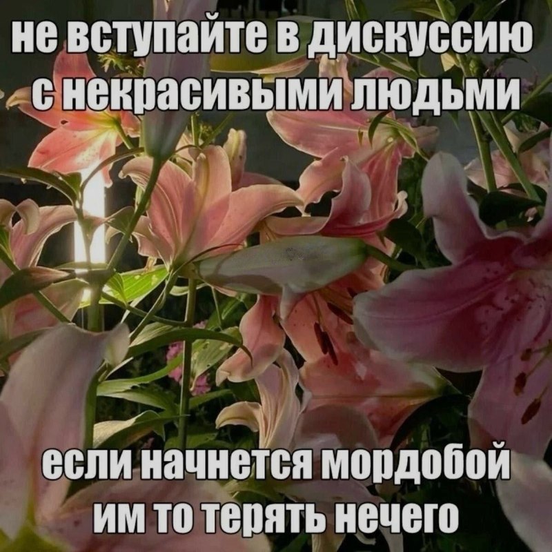 Ночная подборочка
Спать, режим