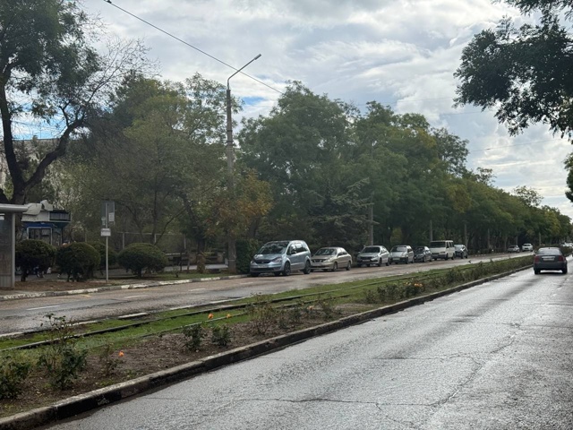 ?Продолжается осенний этап озеленения города.
На дан...