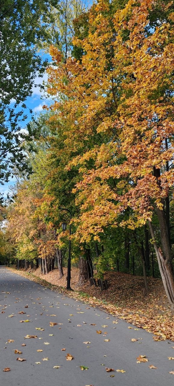 Осень в Балашихе🍁
